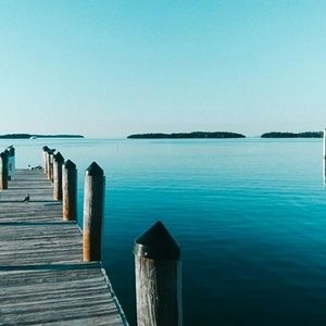 Meet your Posher, Amelia